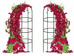 Gardlov 21029 Opierka na popínavé rastliny 200 x 40 cm kov zelená