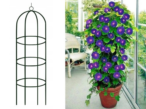 Gardlov 21029 Opierka na popínavé rastliny 200 x 40 cm kov zelená