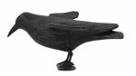 ISO 6555 Odpuzovač holubů a ptáků Havran 38 cm