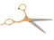 Verk 01857 Profesionální kadeřnické nůžky 16 cm zlaté