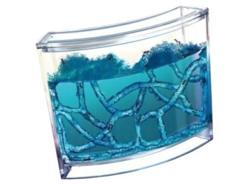 KIK Mravčie akvárium Ant Quarium Domáce mravenisko Blue
