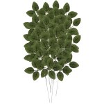 Gardlov 22557 Listové větvičky růže 12 ks