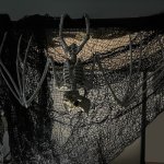 Malatec 22005 Kostra netopiera Halloween 30 cm