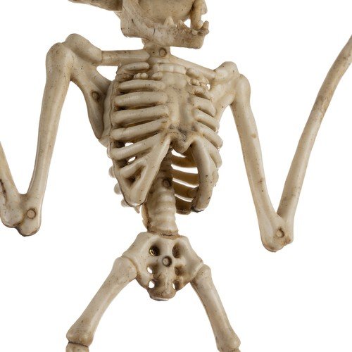 Malatec 22005 Kostra netopiera Halloween 30 cm
