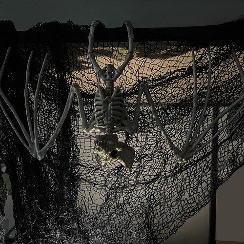 Malatec 22005 Kostra netopiera Halloween 30 cm