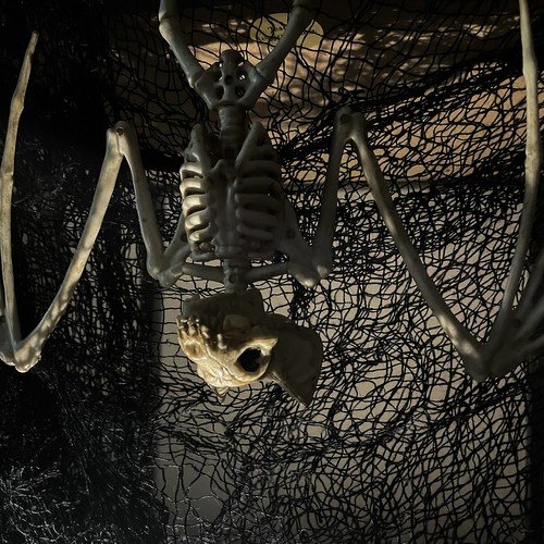 Malatec 22005 Kostra netopiera Halloween 30 cm