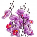 Vergionic 2308 Orchidea kvetina umelá v kvetináči, 40 cm