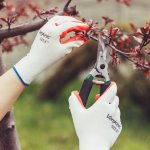 Vergionic 2397 Pogumované pracovné rukavice veľ. 8, 5 párov