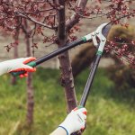 Vergionic 2397 Pogumované pracovné rukavice veľ. 8, 5 párov