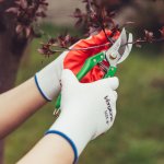 Vergionic 2397 Pogumované pracovné rukavice veľ. 8, 5 párov