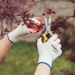 Vergionic 2397 Pogumované pracovné rukavice veľ. 8, 5 párov