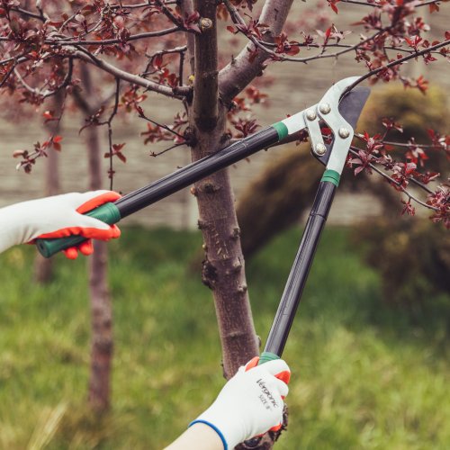 Vergionic 2397 Pogumované pracovné rukavice veľ. 8, 5 párov