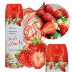 Vergionic 0365 Osvěžovač vzduchu, 480 ml jarní květy