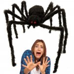 Verk 26034 Gigantický pavouk 50 cm, černá