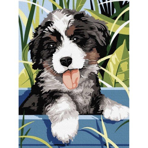 Maaleo 22780 Malování podle čísel 40 x 30 cm