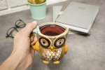 Master Hrnek Sova 340ml modrá