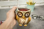 Master Hrnek Sova 340ml modrá