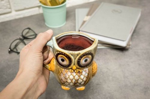 Master Hrnek Sova 340ml modrá