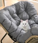 Gordon G505 Hojdacie kreslo s podnožkou na nohy, čiernosivá