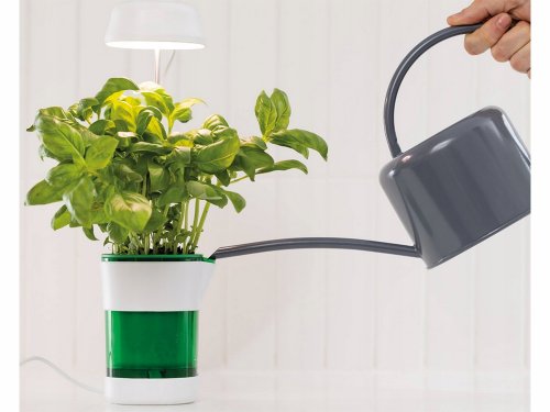 Verk 12319 Lampa na pestovanie rastlín 6 LED, 4 UV samozavlažovací kvetináč