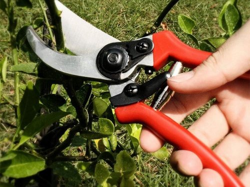 Verk 11421 Zahradní nůžky 20 cm červené