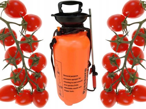 Verk 11427 Tlakový ručný postrekovač 10 L oranžový