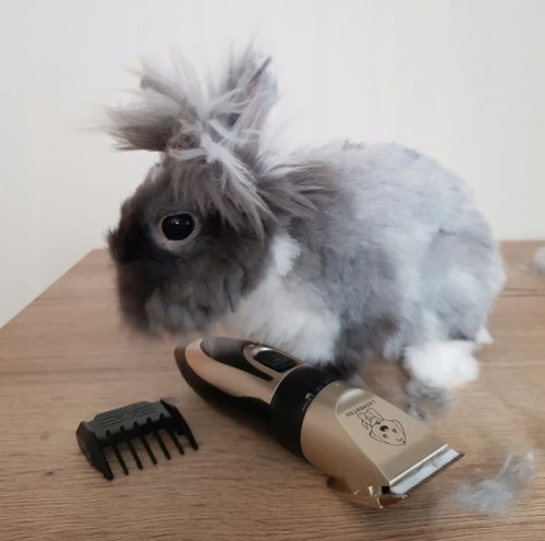 Purlov 24089 Strihací strojček na úpravu srsti