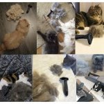 Purlov 24261 Purlov Kartáč na chlupy pro domácí mazlíčky