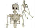 Verk 26132 Ľudská kostra dekorácie na Halloween 40 cm