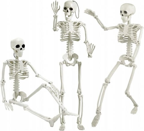 Verk 26132 Ľudská kostra dekorácie na Halloween 40 cm