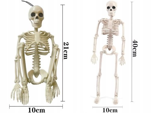 Verk 26132 Ľudská kostra dekorácie na Halloween 40 cm