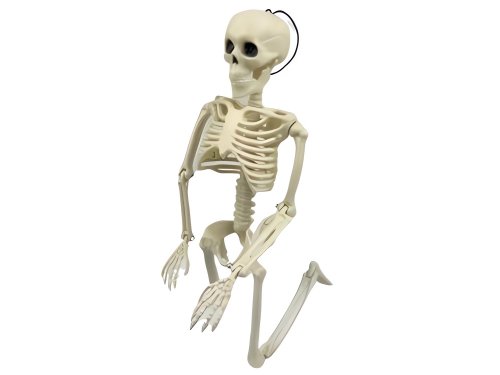 Verk 26132 Ľudská kostra dekorácie na Halloween 40 cm