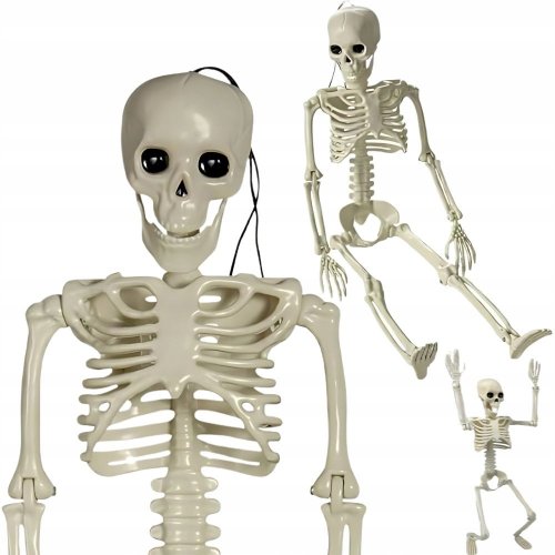 Verk 26132 Ľudská kostra dekorácie na Halloween 40 cm