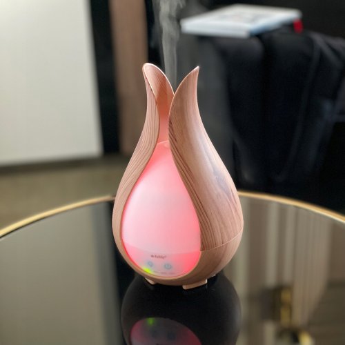 Ruhhy 24610 Zvlhčovač vzduchu s dálkovým ovládáním 200 ml + 3x aroma olej