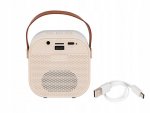 AFF 4270 Karaoke Bluetooth reproduktor 10 W, 2x bezdrátový mikrofon