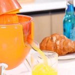 Verk 07256 Elektrický odšťavovač na citrusy 300 W