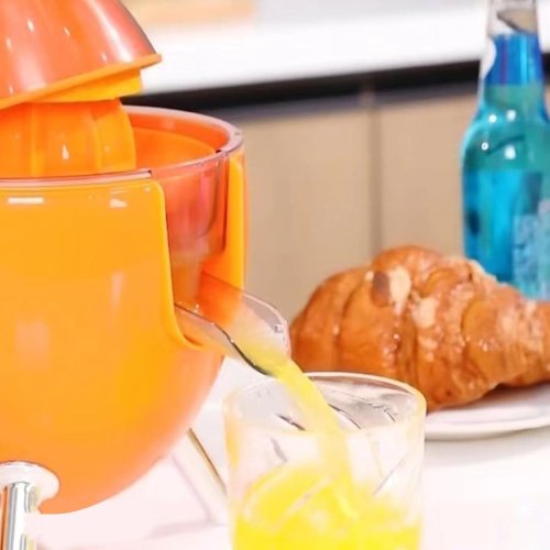 Verk 07256 Elektrický odšťavovač na citrusy 300 W