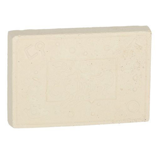 KIK KX3579 Archeologické vykopávky Hmyz v jantaru