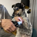 Purlov 24739 Kliešte na pazúriky s LED osvetlením