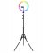 Verk 24568 Ring LED lampa s statívom, 120 W, RGB