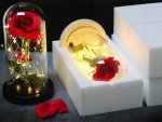 Verk 26106 LED růže ve skleněné váze