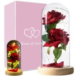 Verk 26106 LED růže ve skleněné váze