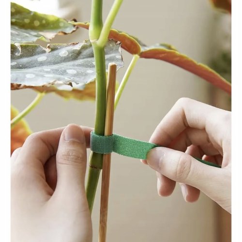 Gardlov 25362 Stahovací páska na rostliny 500 cm, zelená 