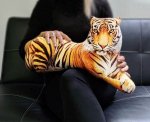GFT Polštář 3D tygr 50cm