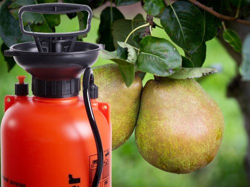 Verk 11429 Ručný tlakový postrekovač 10 l oranžový