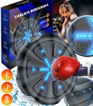 Gordon G856 Elektronický boxovací nástěnný terč, Bluetooth, černý