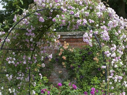 Gardlov 1719 Zahradní oblouk 240 x 140 x 38 cm