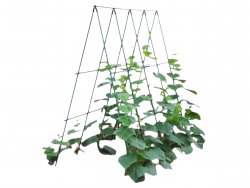 Pronett XJ5699 Podpera pre rastliny 120 cm, zelená