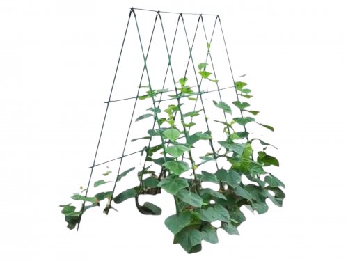 Pronett XJ5699 Podpěra na rostliny 120cm, zelená