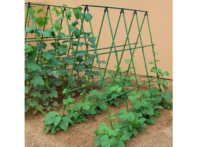 Pronett XJ5699 Podpěra na rostliny 120cm, zelená